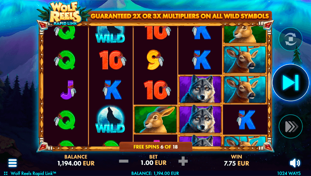 Free Spins with Wild multipliers